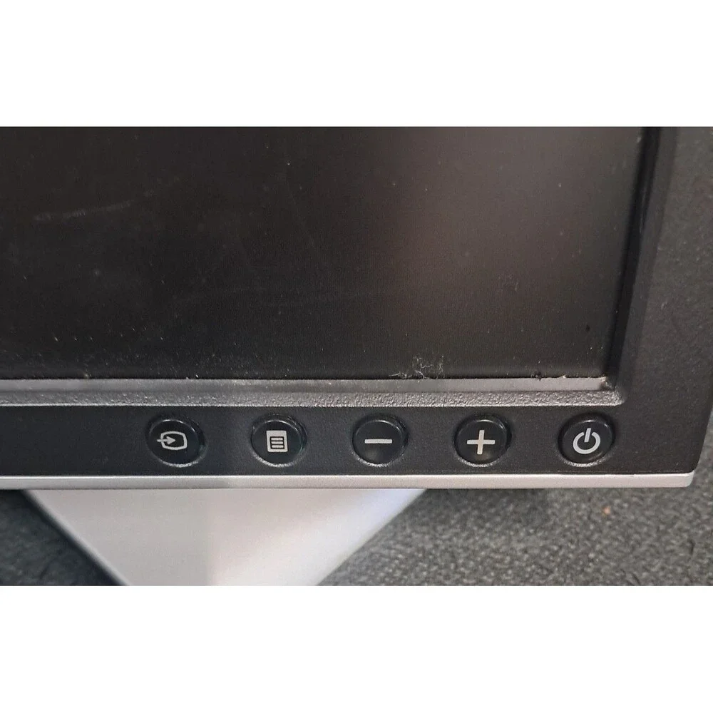 Dell Flat Panel 19